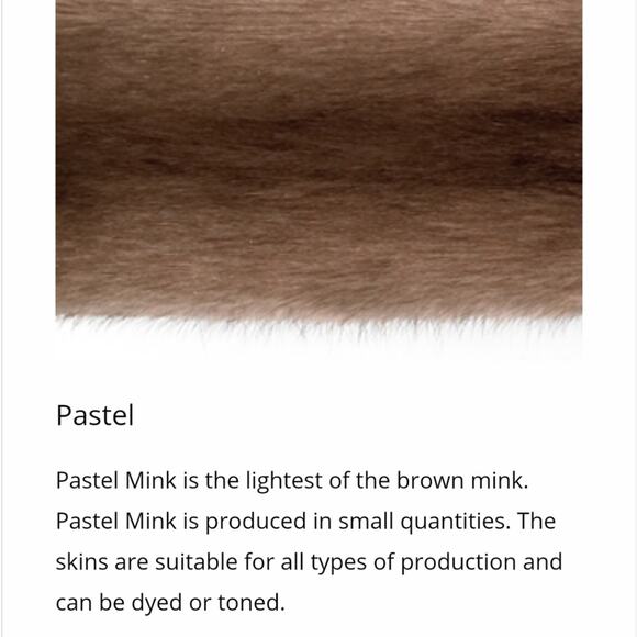 Saga Bemberg Pastel Mink Bomber - M - Picture 7 of 10